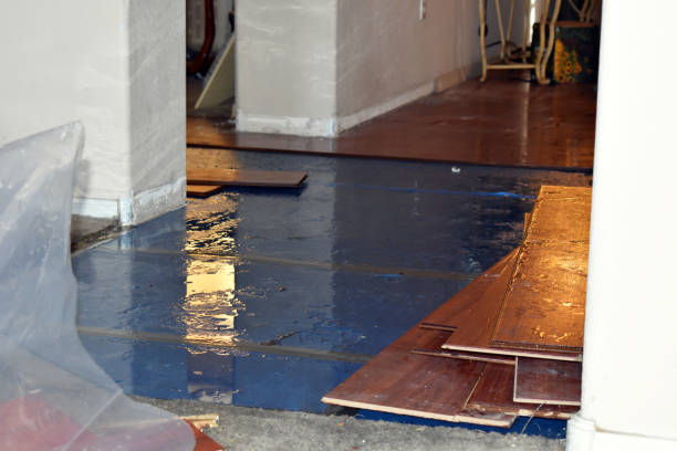 Professional Water Damage Restoration technician working in Howland, ME
